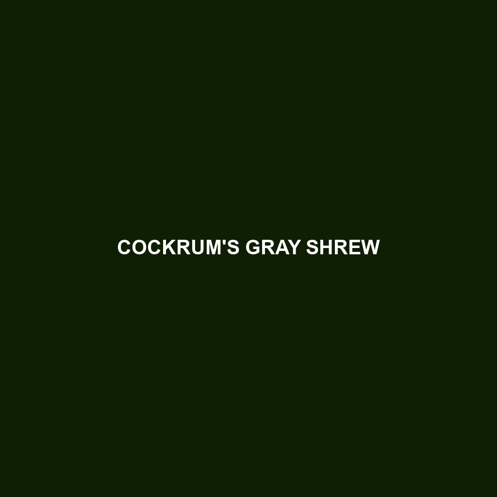 Cockrum's Gray Shrew