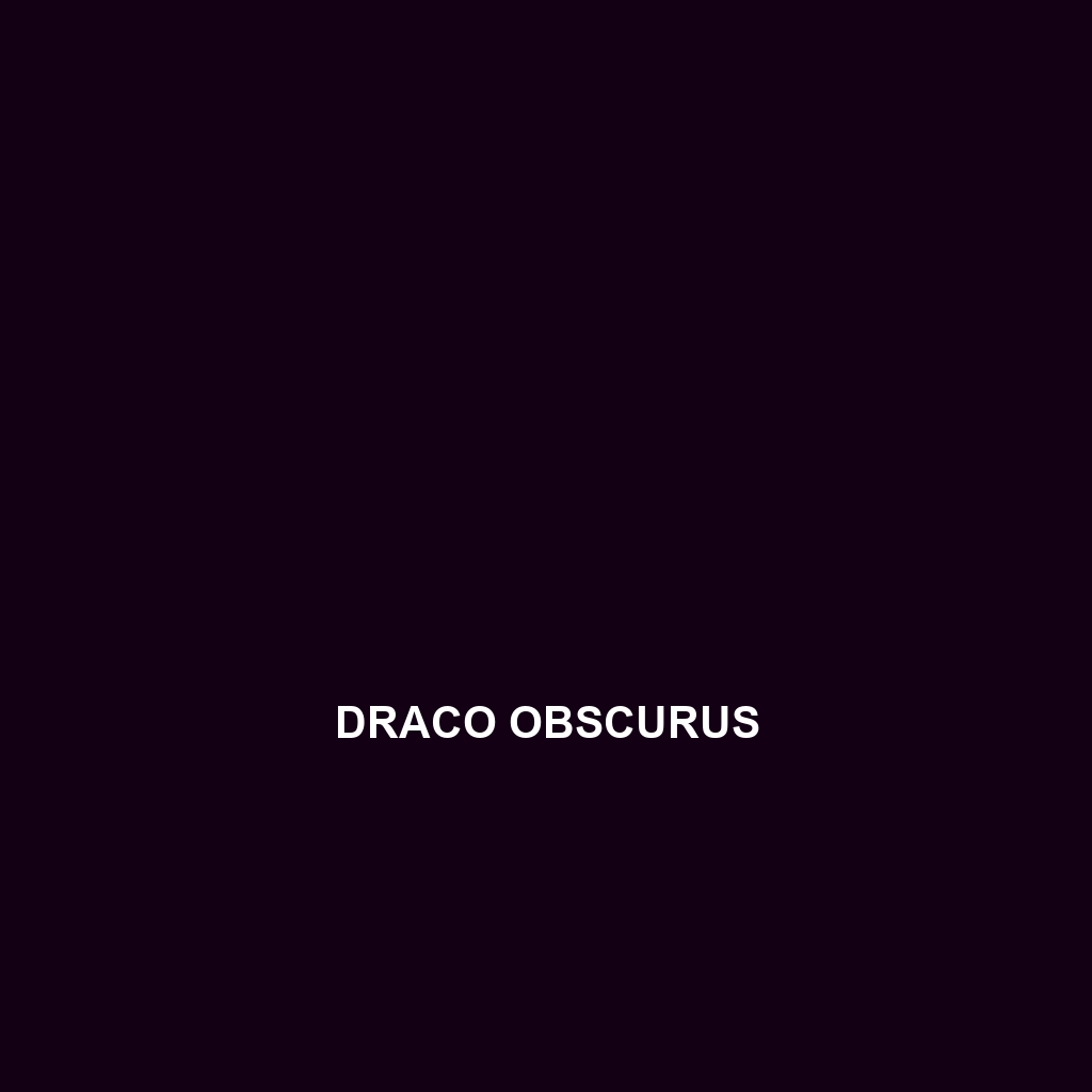 Draco obscurus