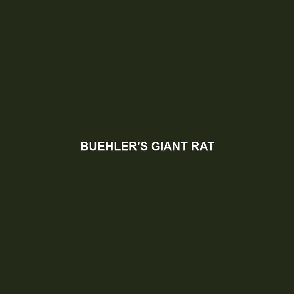 Buehler's Giant Rat