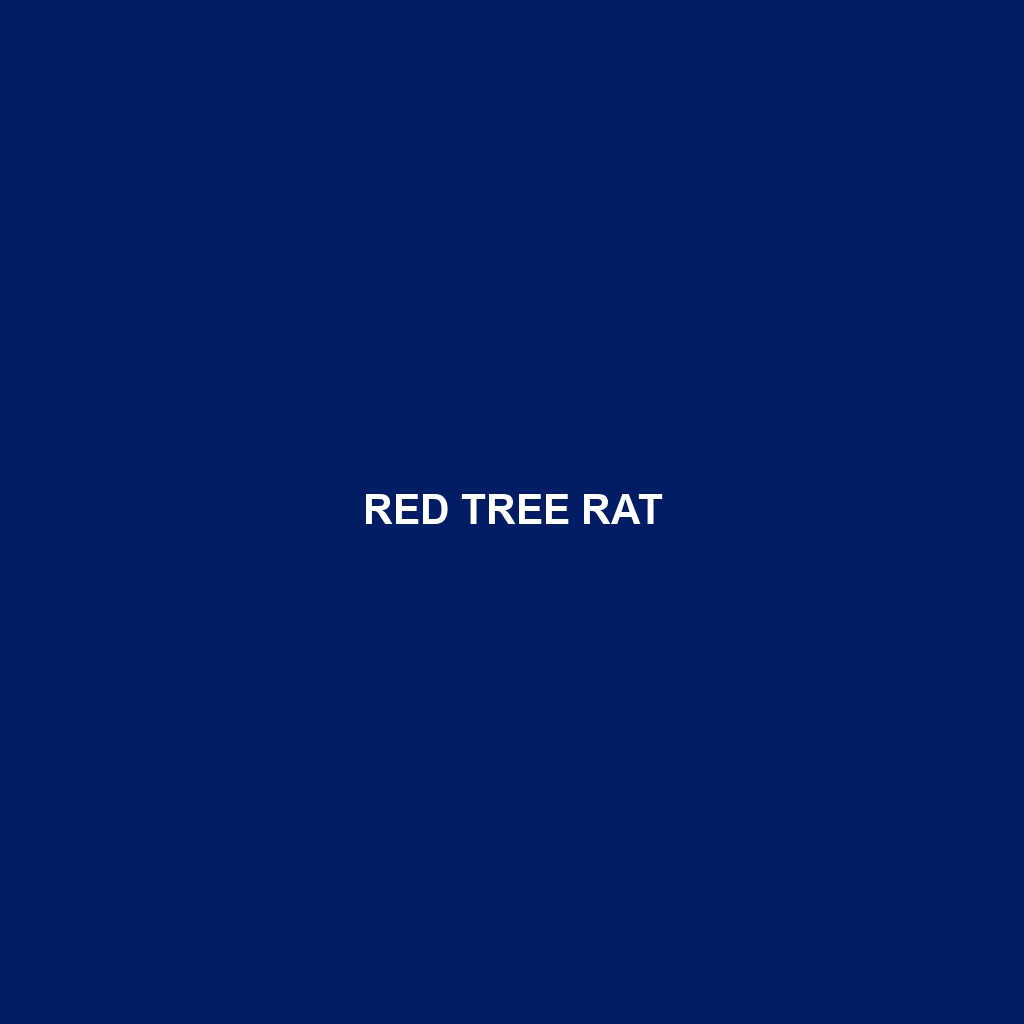 Red Tree Rat