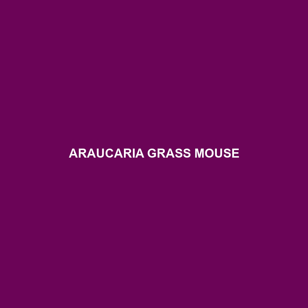 Araucaria Grass Mouse