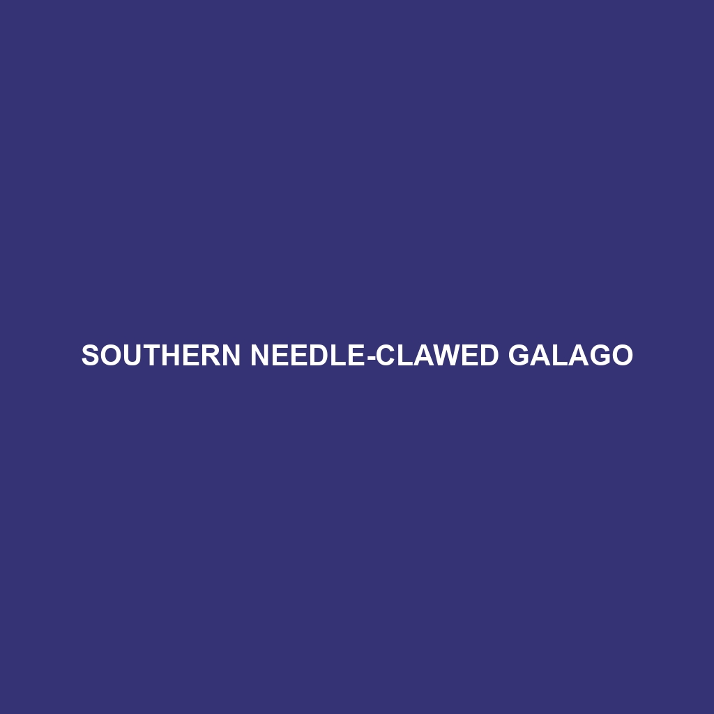 Southern Needle-clawed Galago