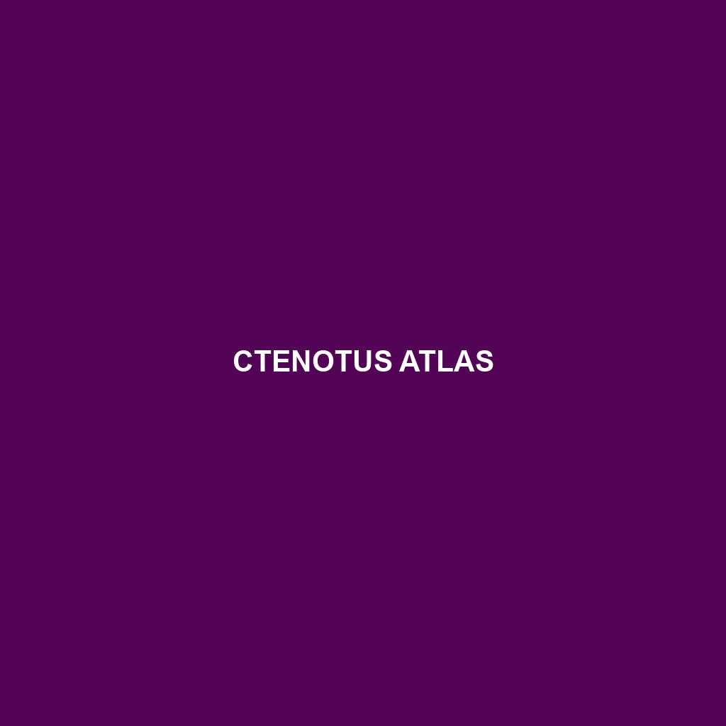 Ctenotus atlas