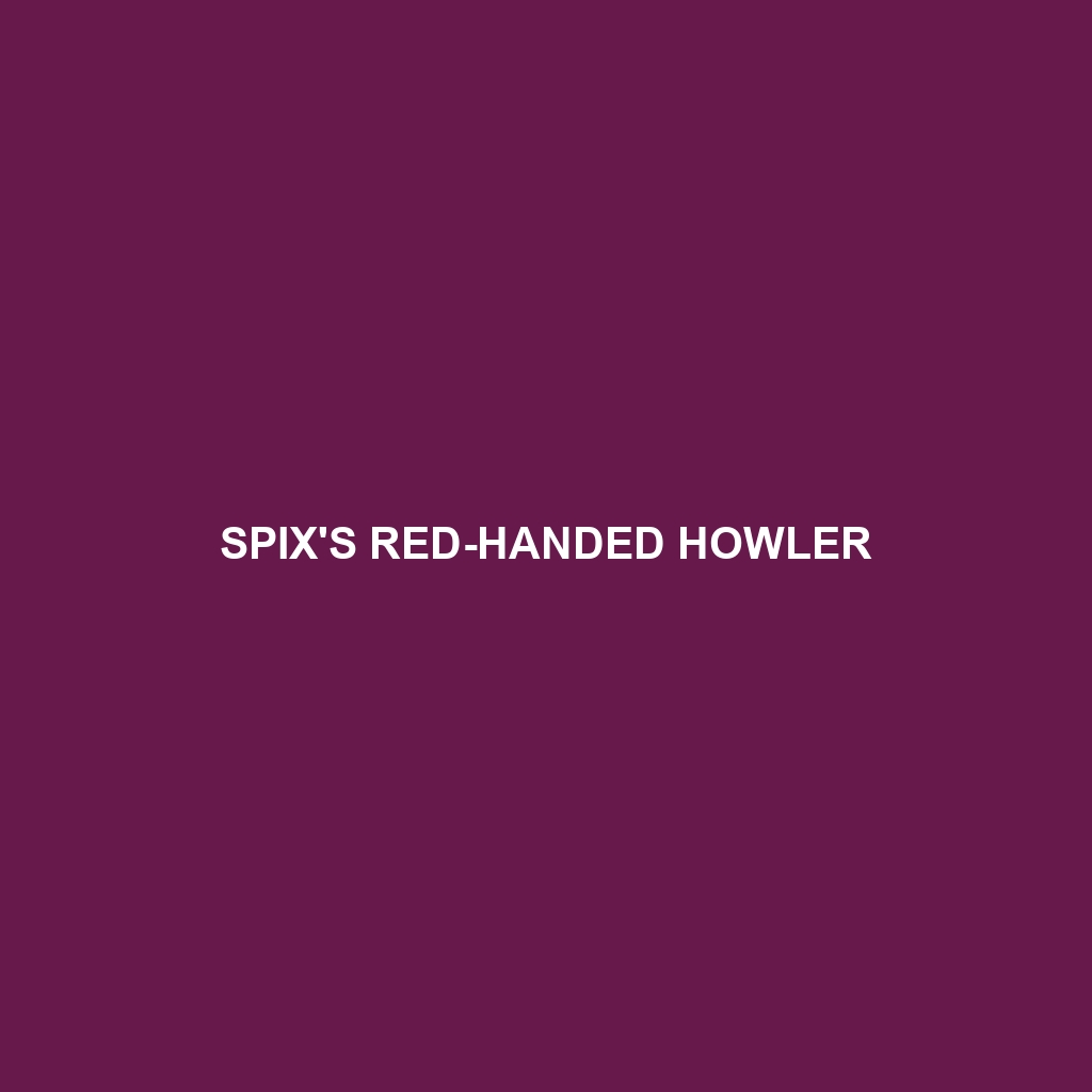 Spix's Red-handed Howler