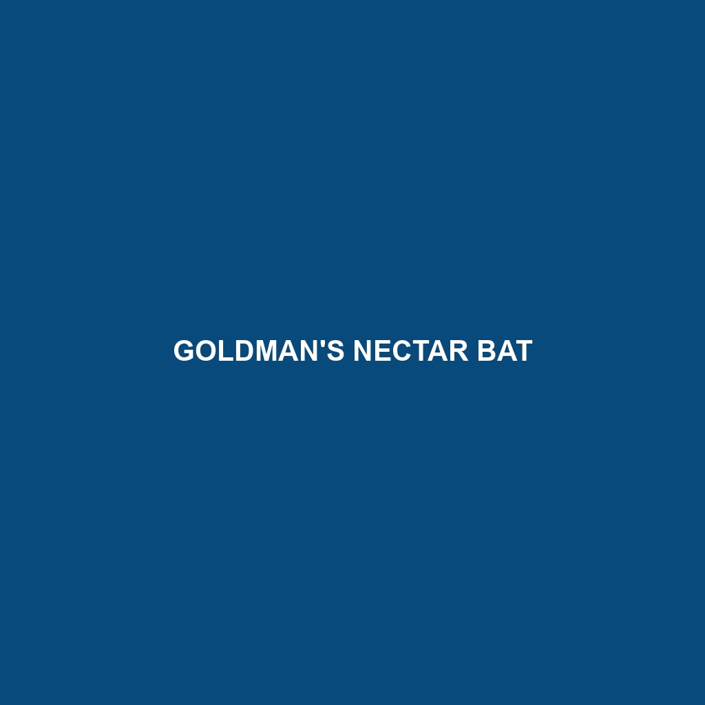 Goldman's Nectar Bat