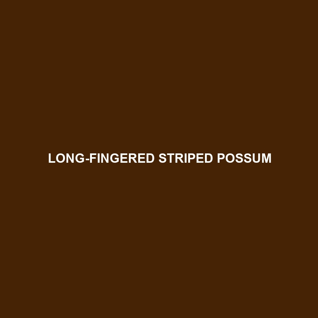 Long-fingered Striped Possum