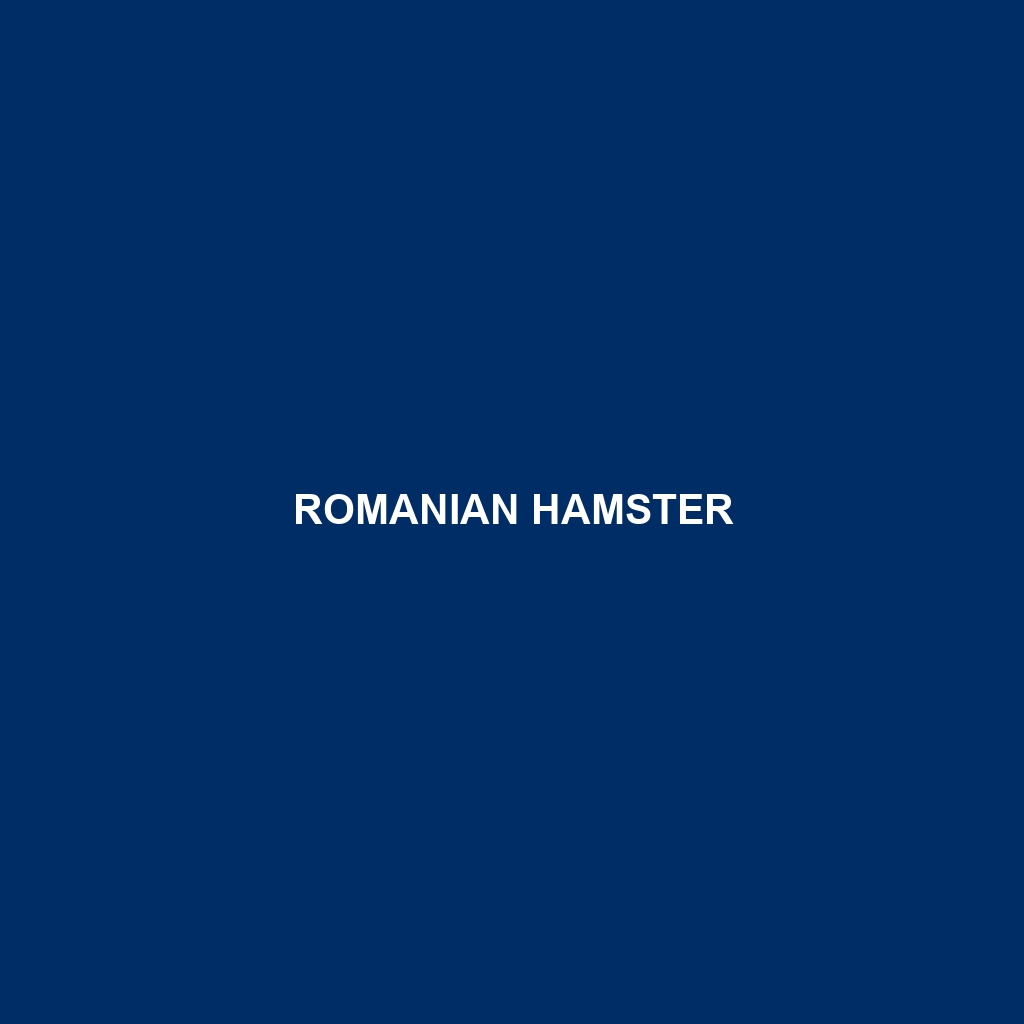 Romanian Hamster