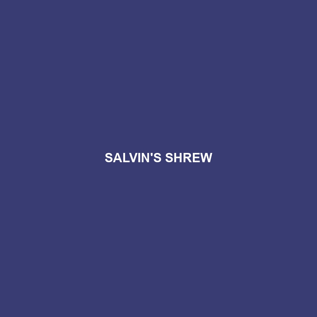 Salvin's Shrew