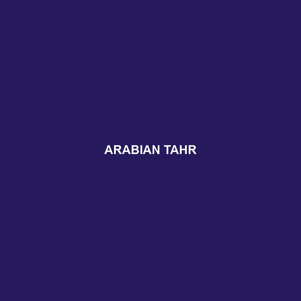 Arabian Tahr