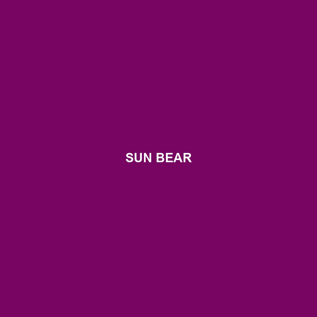 Sun Bear