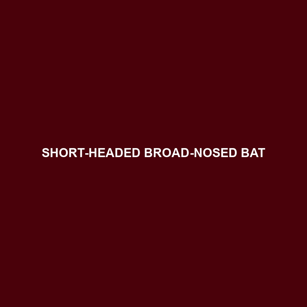 Short-headed Broad-nosed Bat