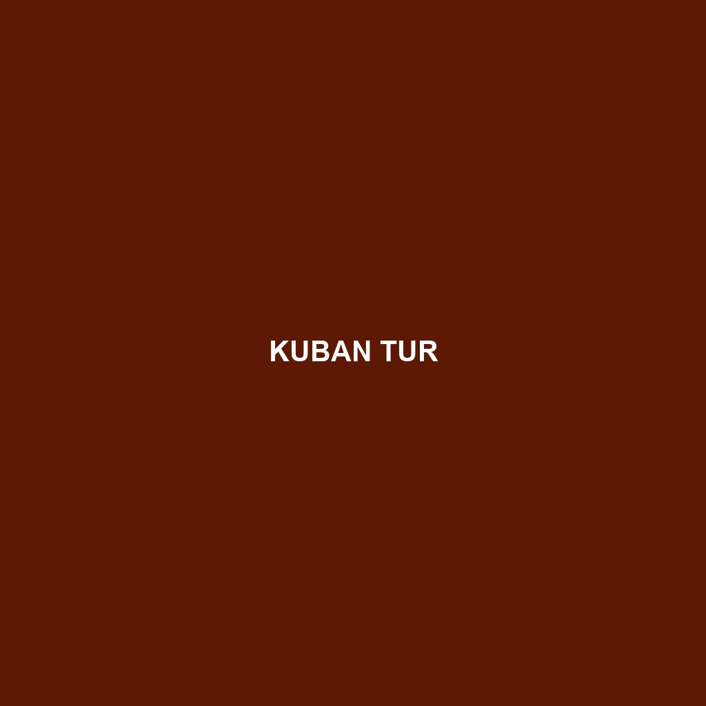 Kuban Tur