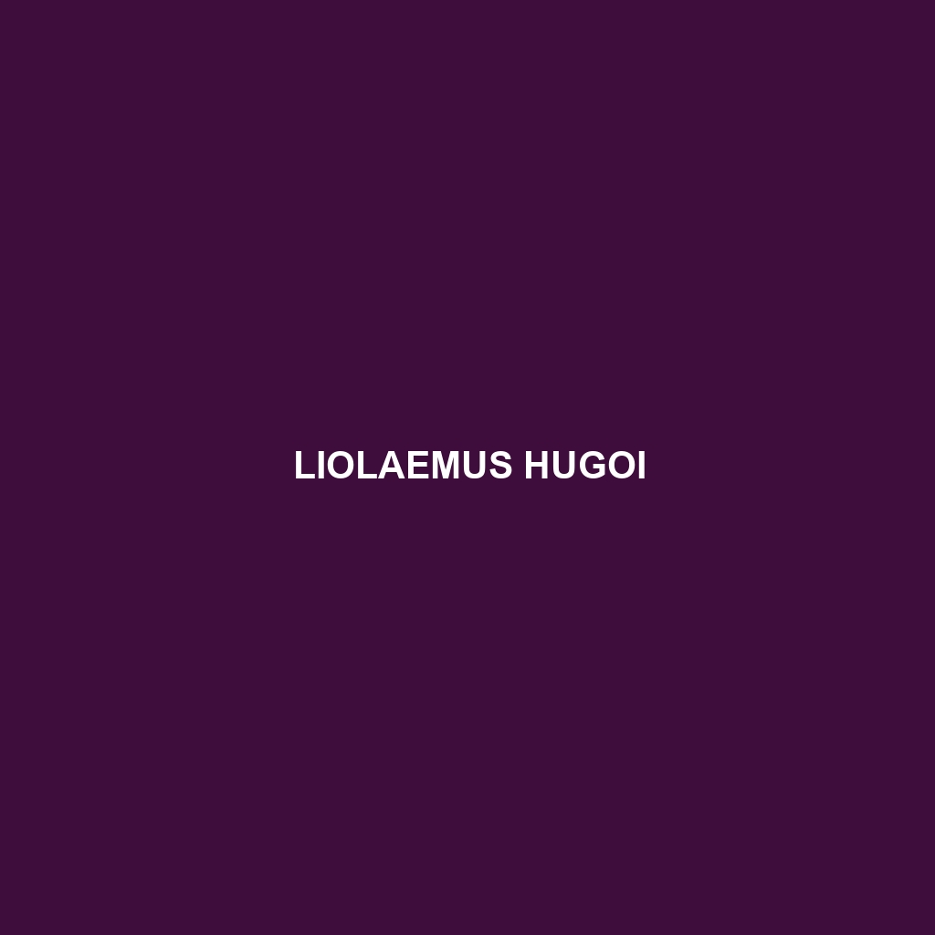 Liolaemus hugoi