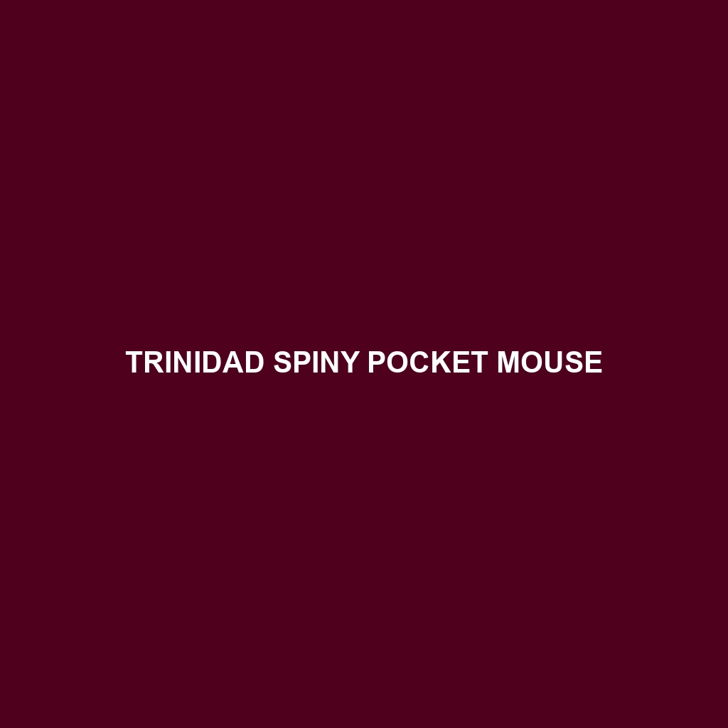 Trinidad Spiny Pocket Mouse