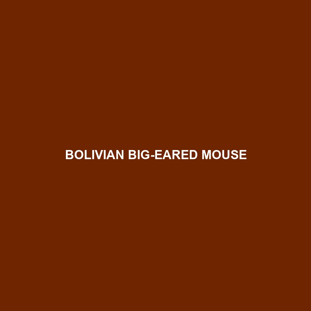 Bolivian Big-eared Mouse