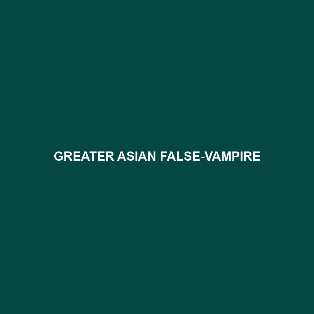 Greater Asian False-vampire