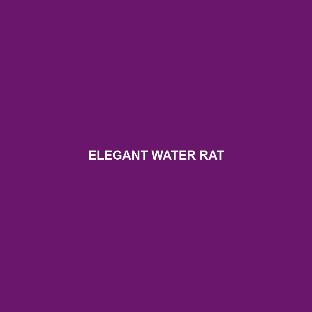 Elegant Water Rat