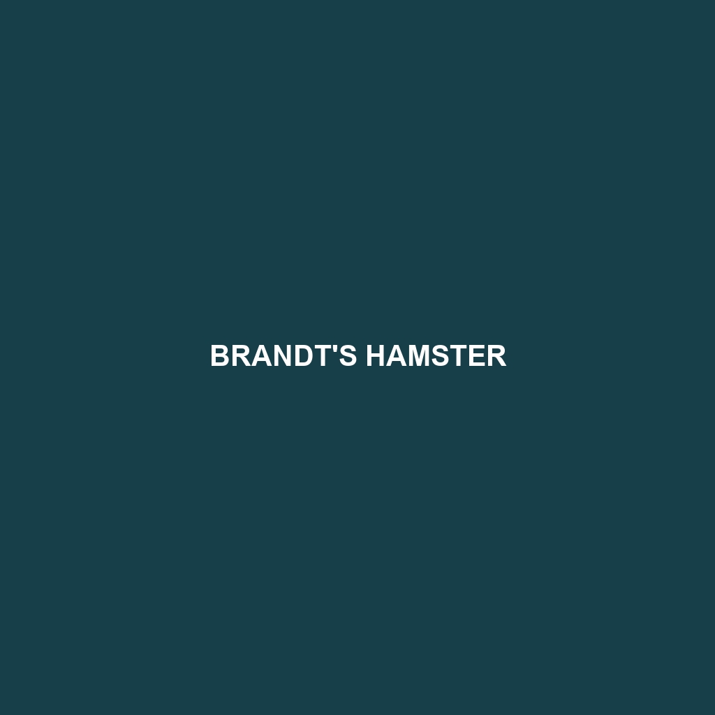 Brandt's Hamster