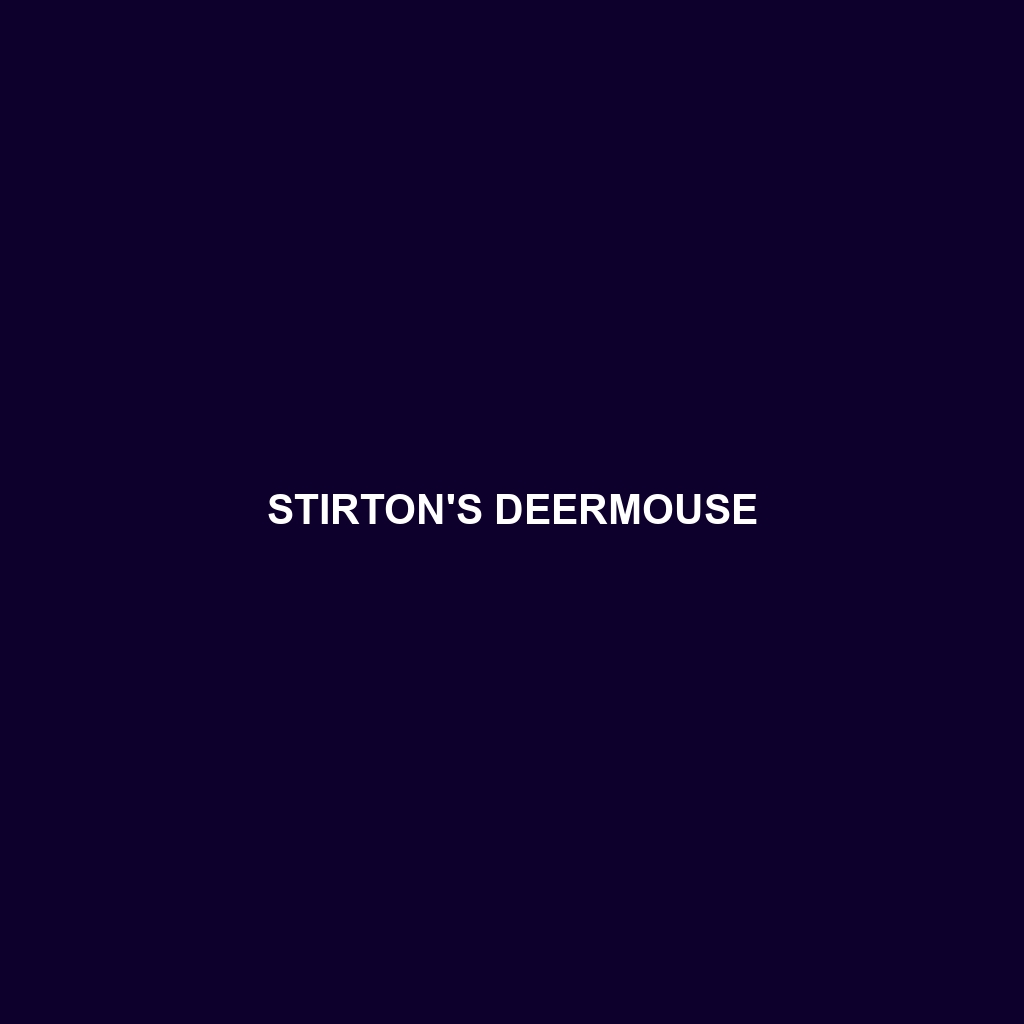 Stirton's Deermouse