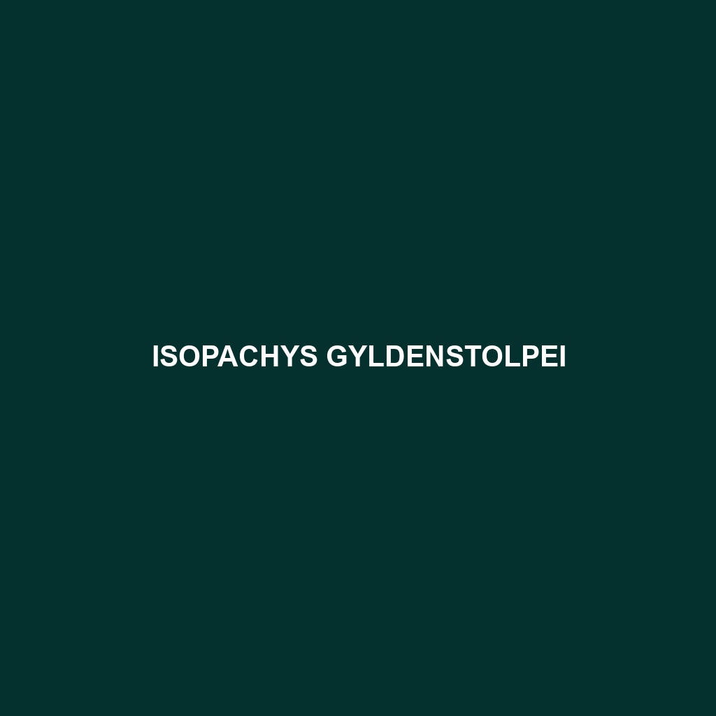 Isopachys gyldenstolpei