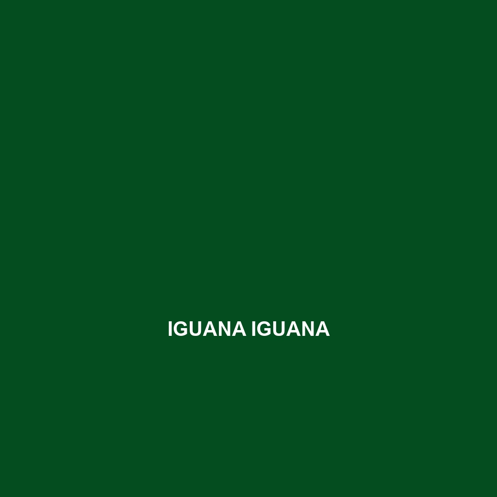 Iguana iguana