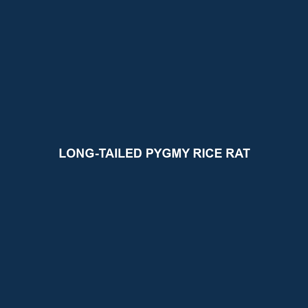 Long-tailed Pygmy Rice Rat