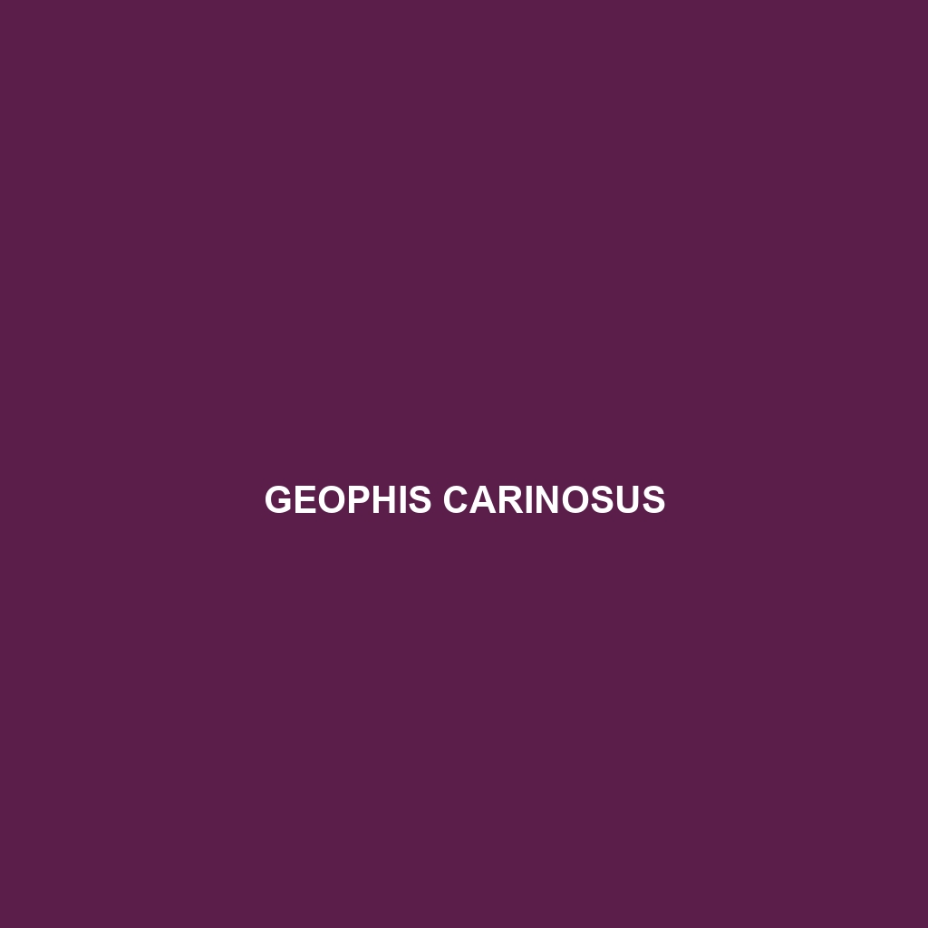 Geophis carinosus