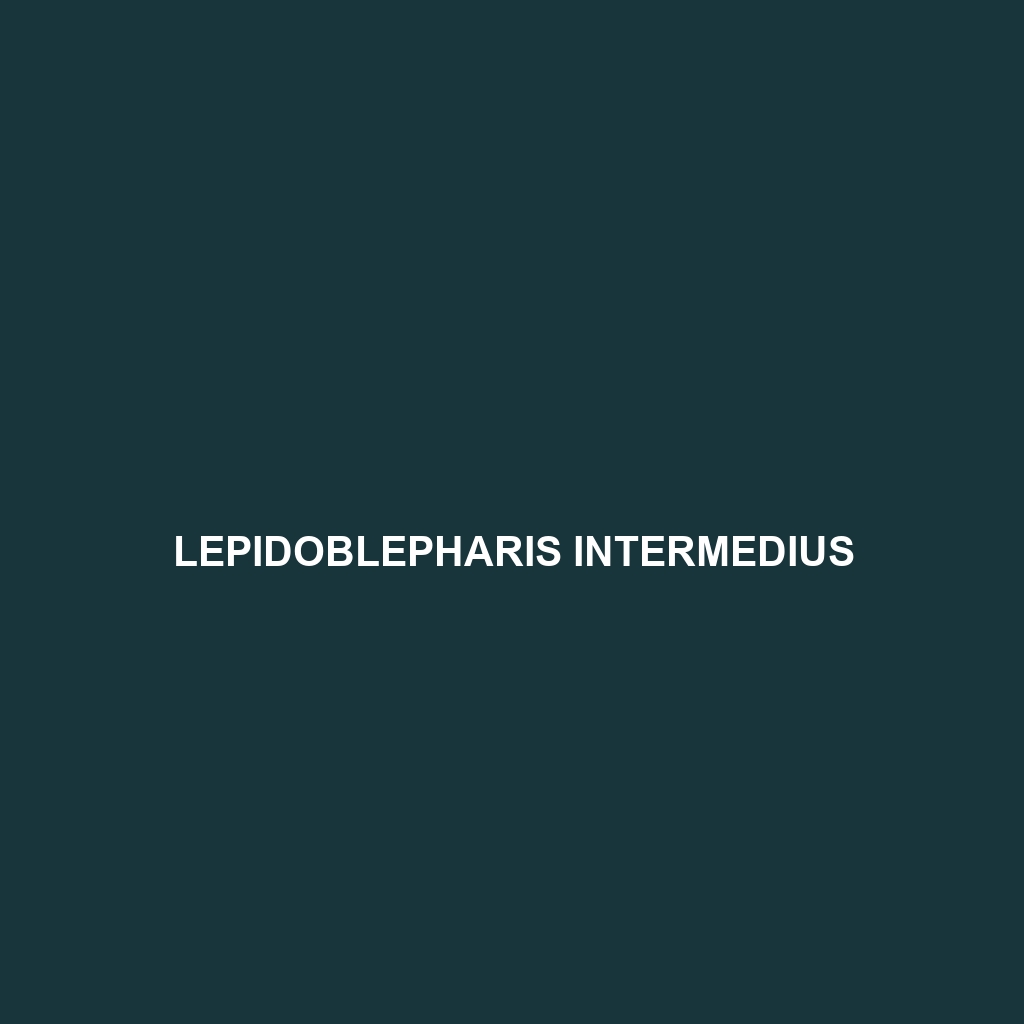 Lepidoblepharis intermedius