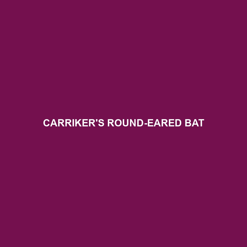 Carriker's Round-eared Bat