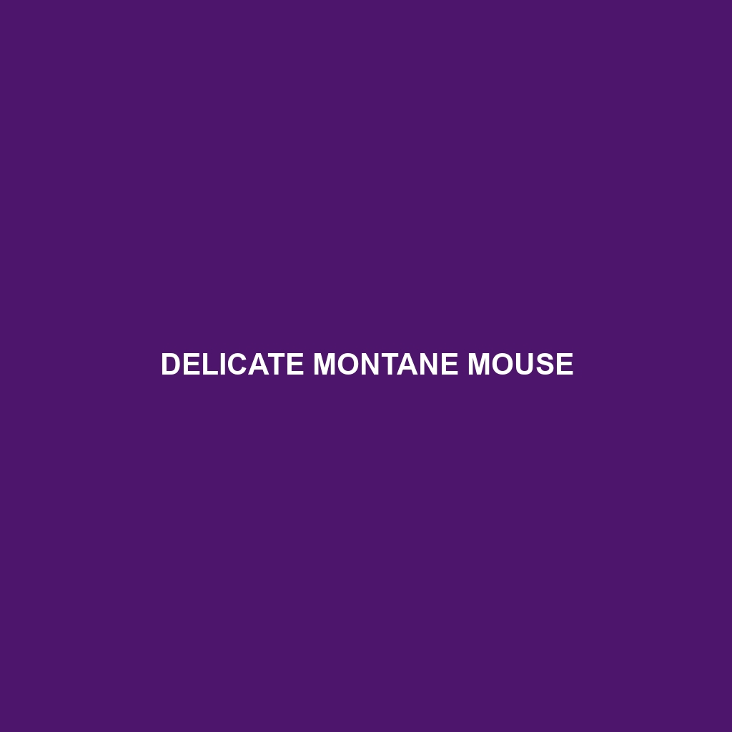 Delicate Montane Mouse