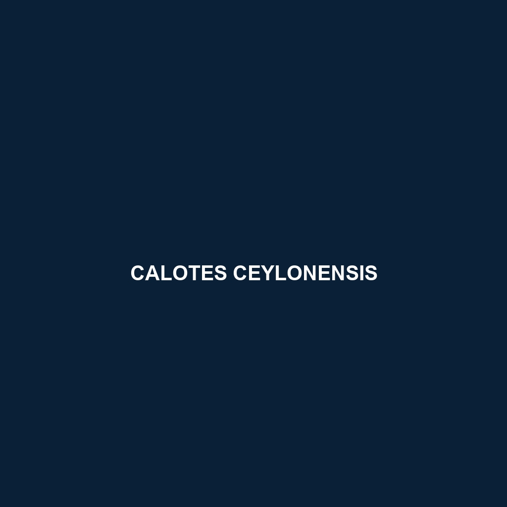 Calotes ceylonensis