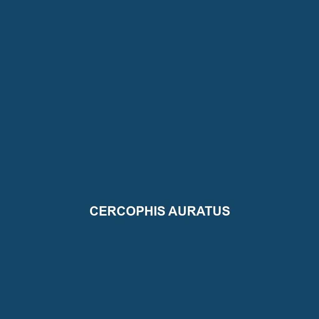 Cercophis auratus