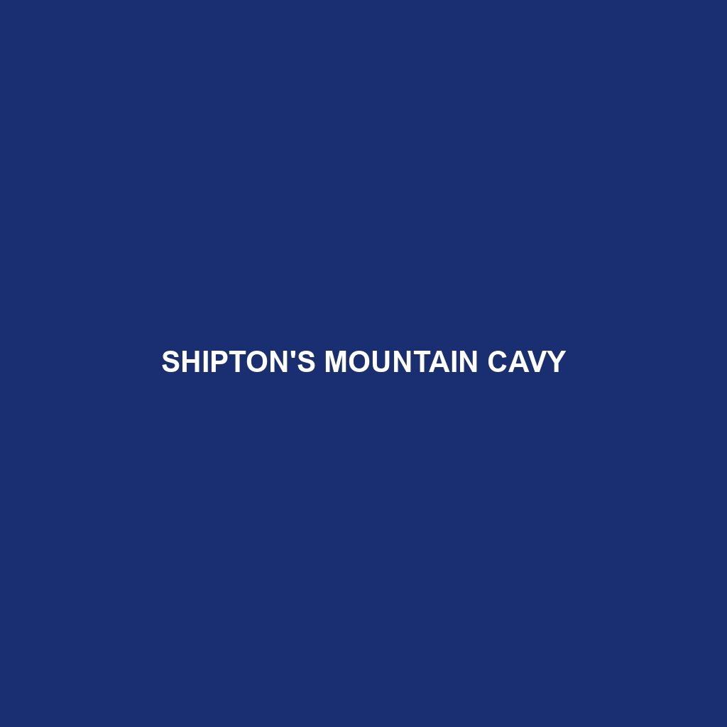 Shipton's Mountain Cavy