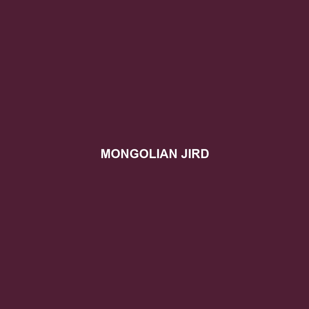 Mongolian Jird