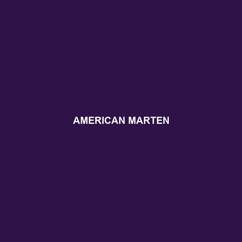 American Marten