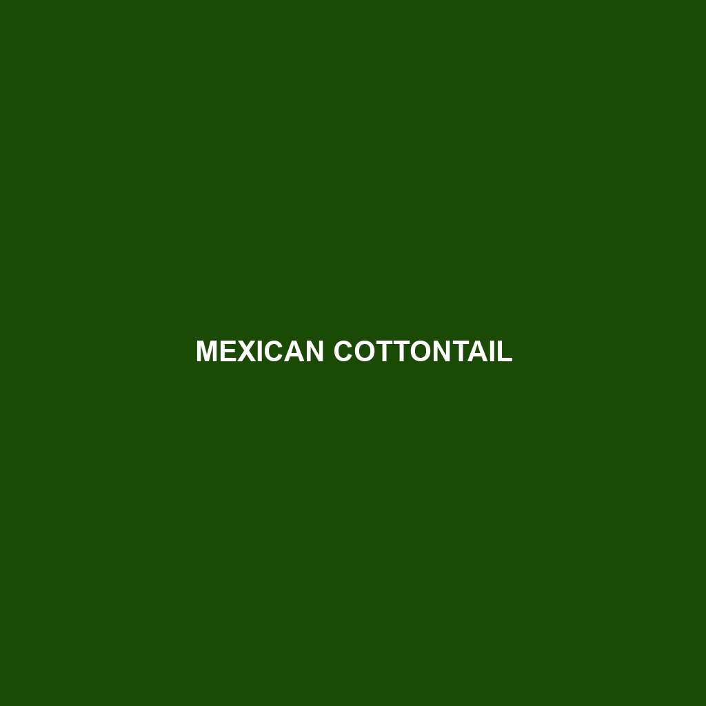 Mexican Cottontail