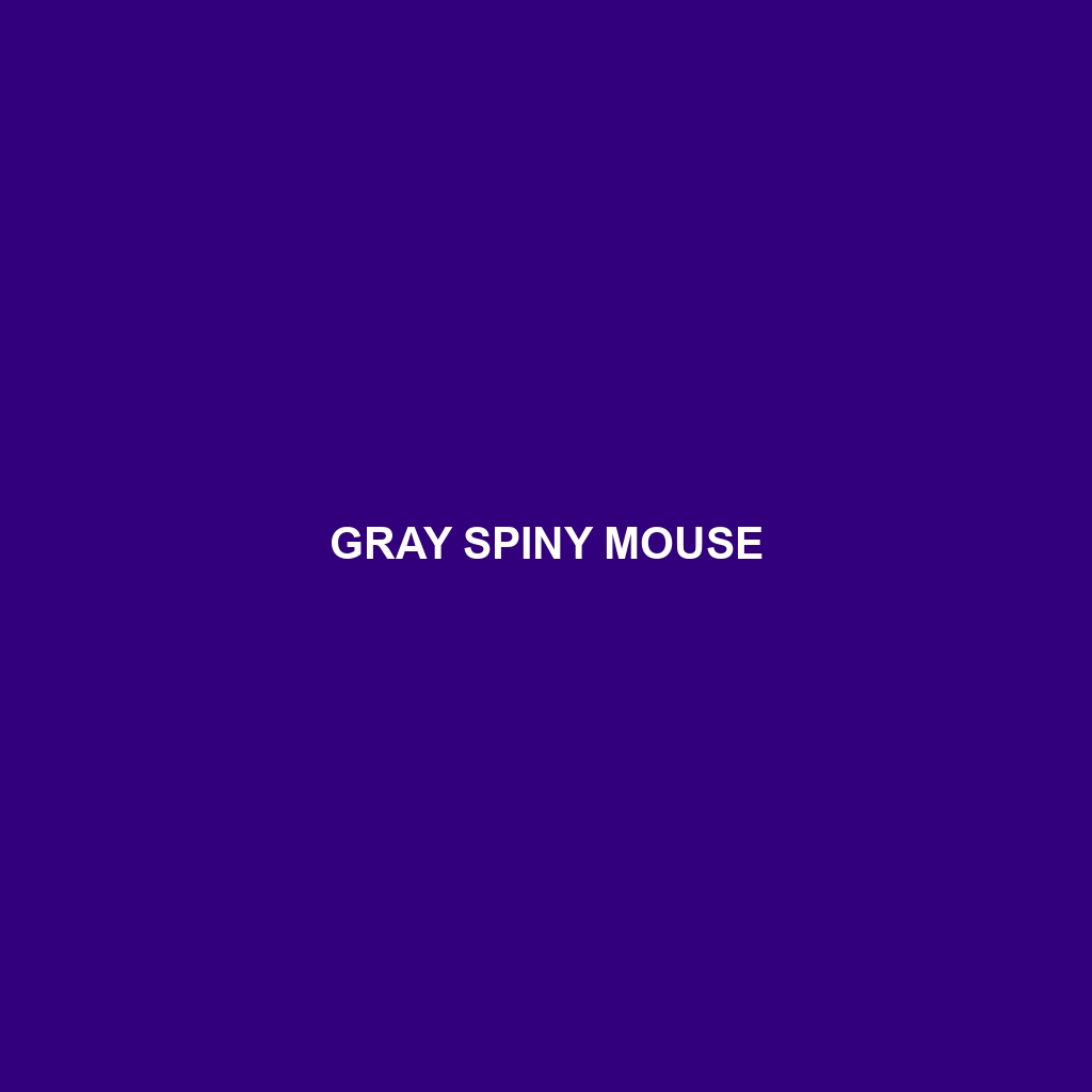 Gray Spiny Mouse