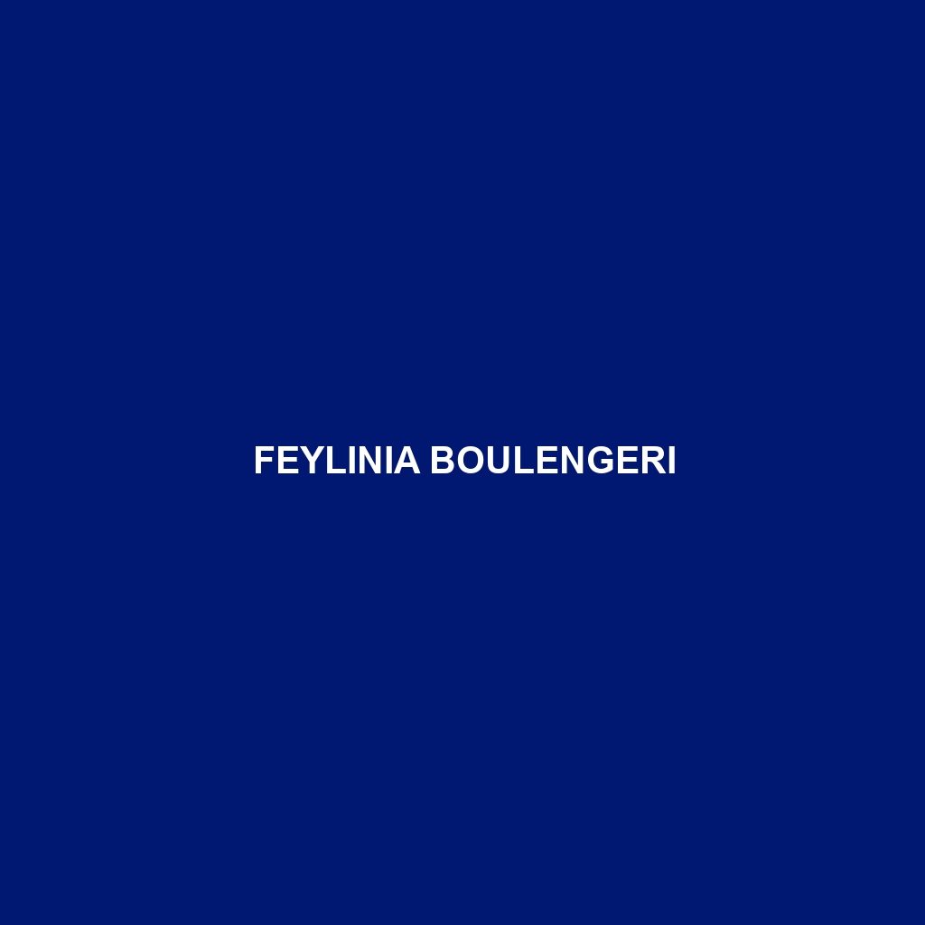 Feylinia boulengeri