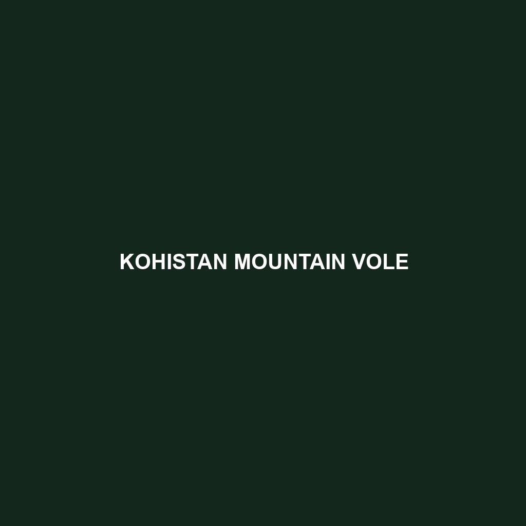 Kohistan Mountain Vole