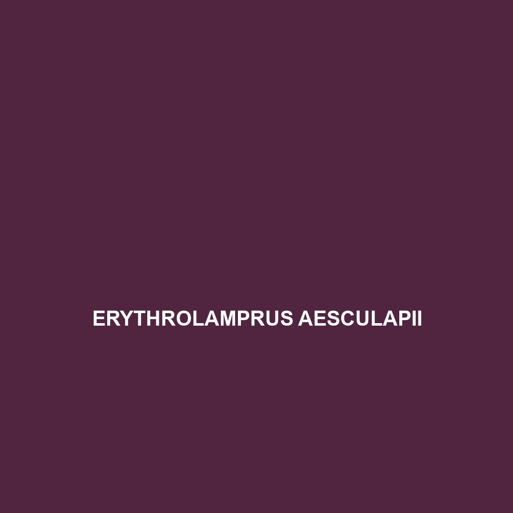 Erythrolamprus aenigma