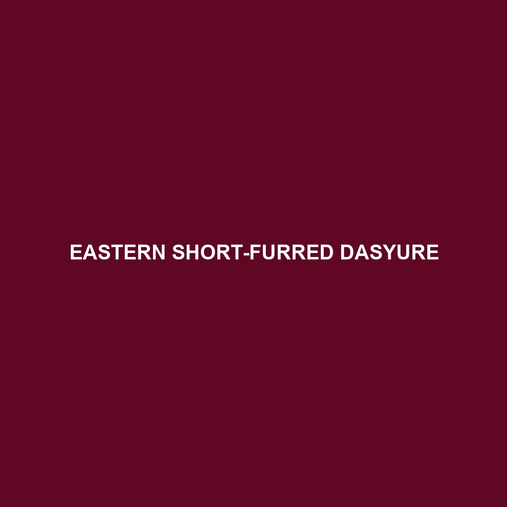 Eastern Short-furred Dasyure