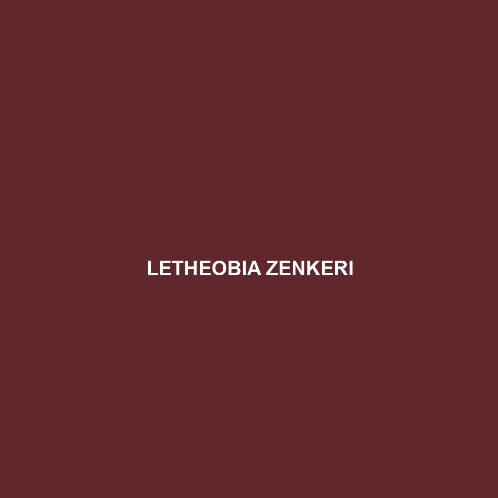 Letheobia zenkeri