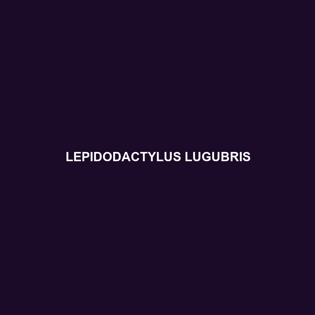 Lepidodactylus lugubris