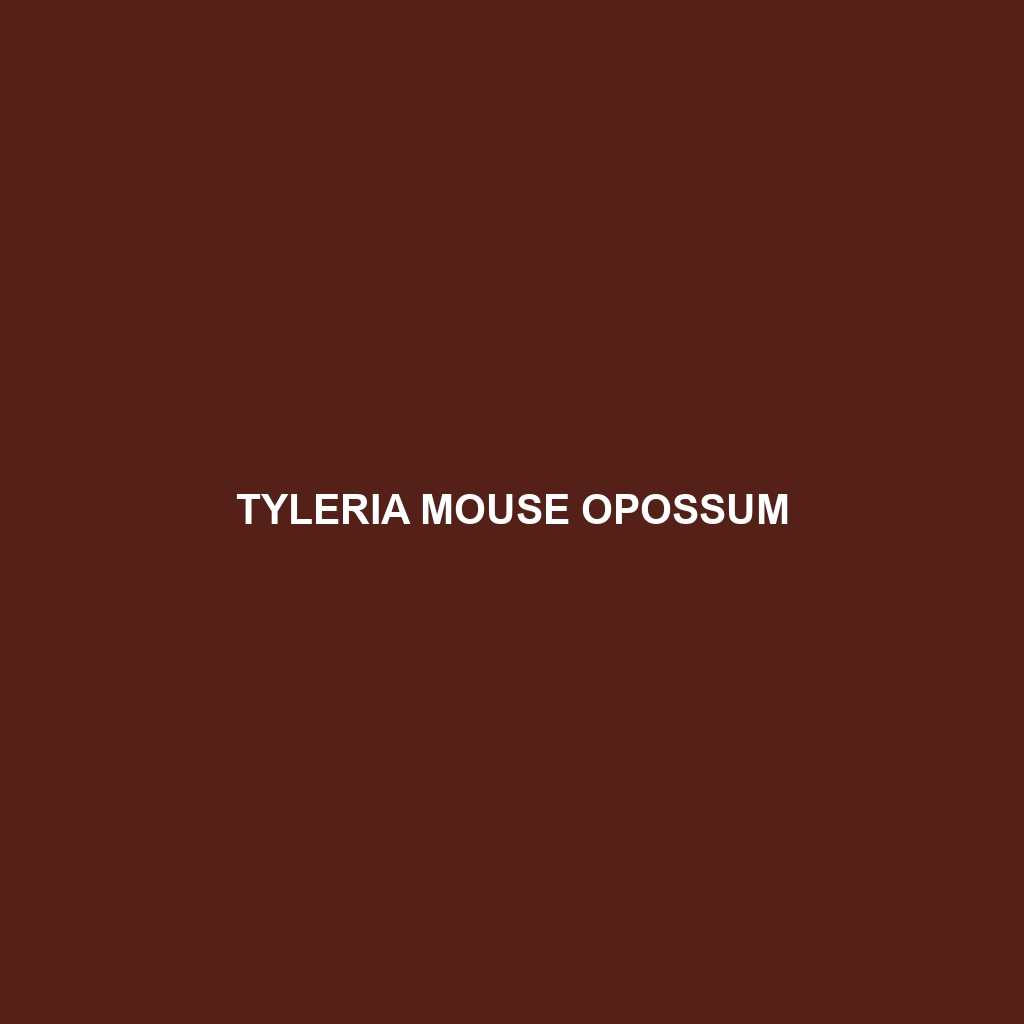 Tyleria Mouse Opossum