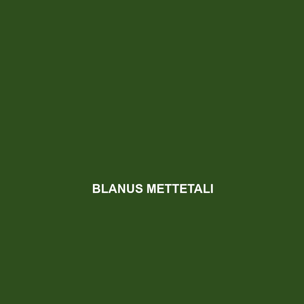 Blanus mettetali