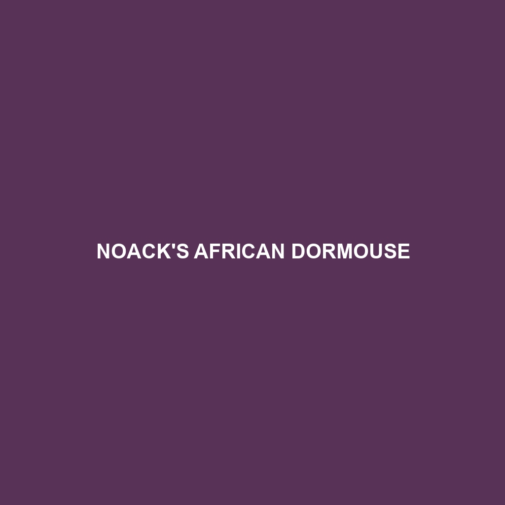 Noack's African Dormouse