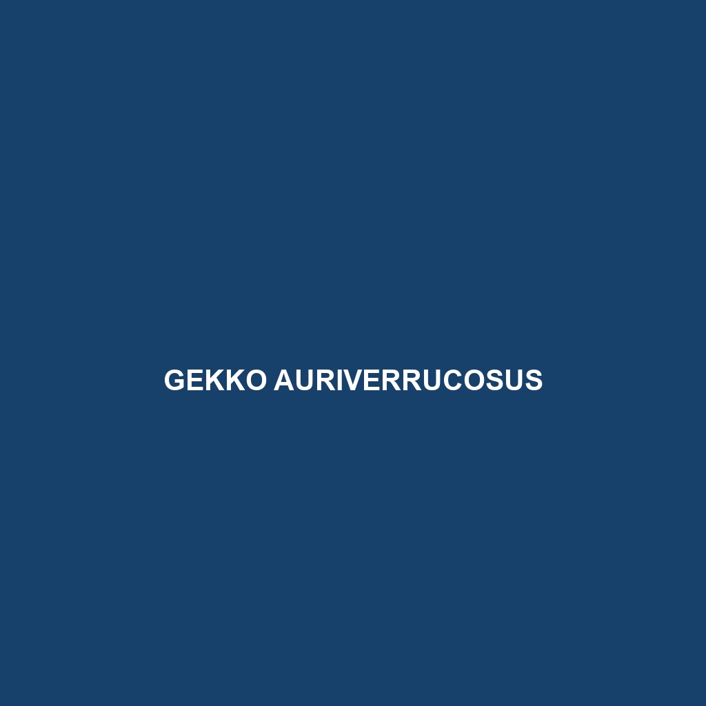 Gekko athymus