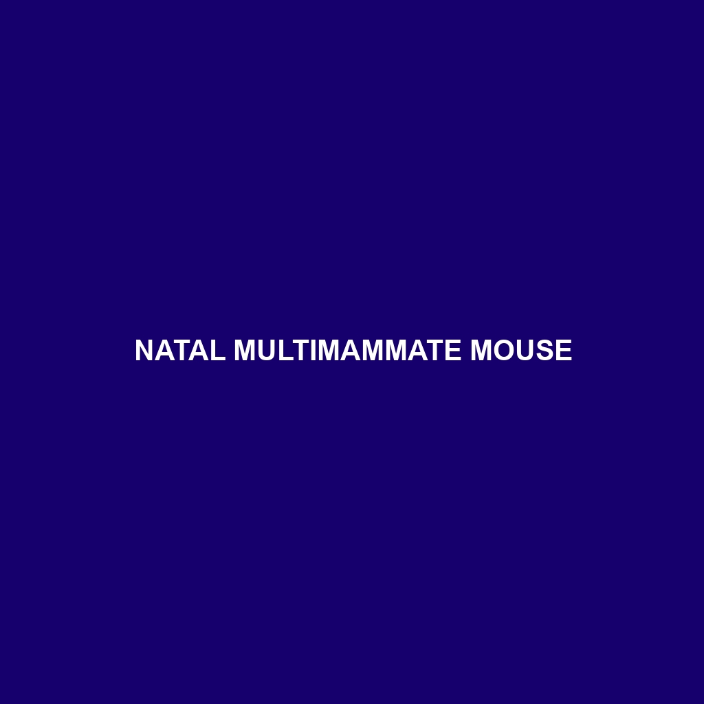 Natal Multimammate Mouse