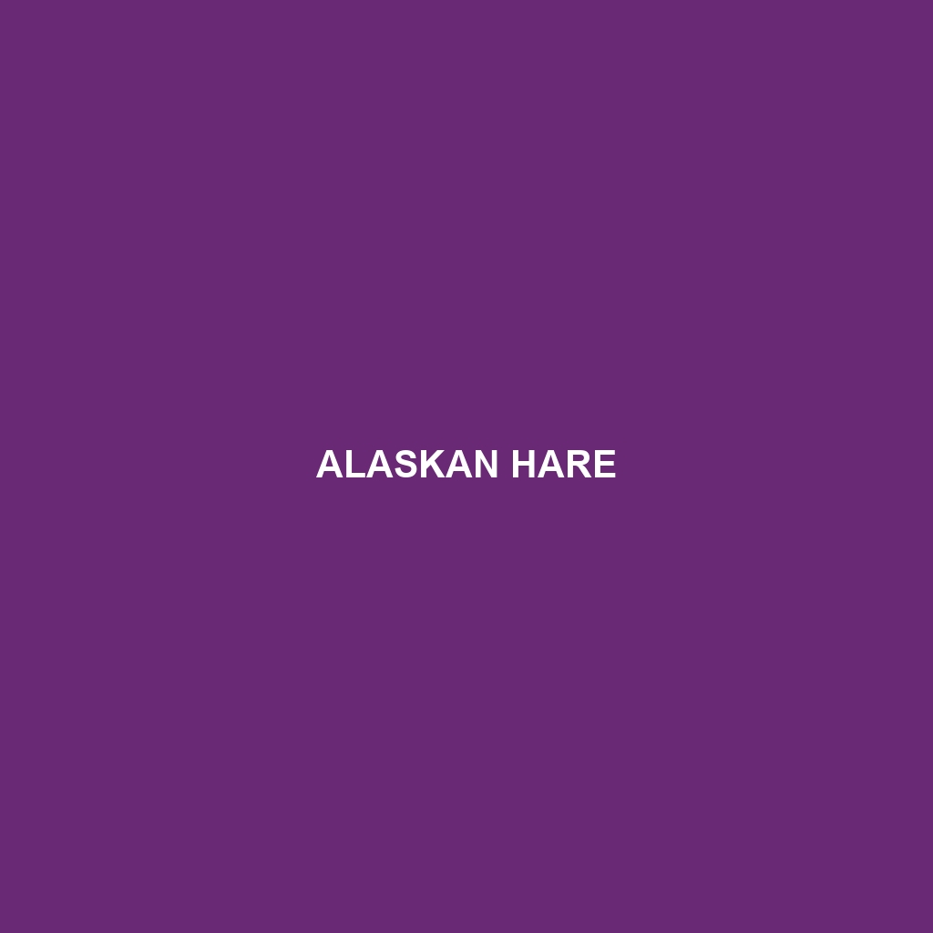 Alaskan Hare