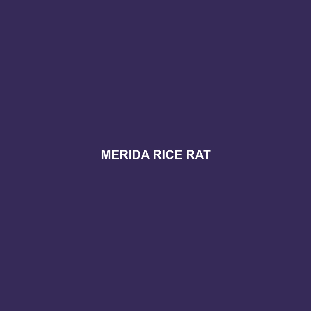 Nimble-footed Rice Rat